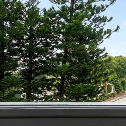 Orchid Park Condominium (D27), Condominium #629875191